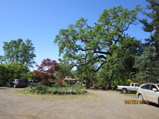 wilwoodnursery3.jpg