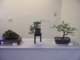 show2011006_small.jpg