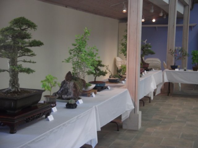 show2011007.jpg