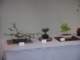 show2011009_small.jpg