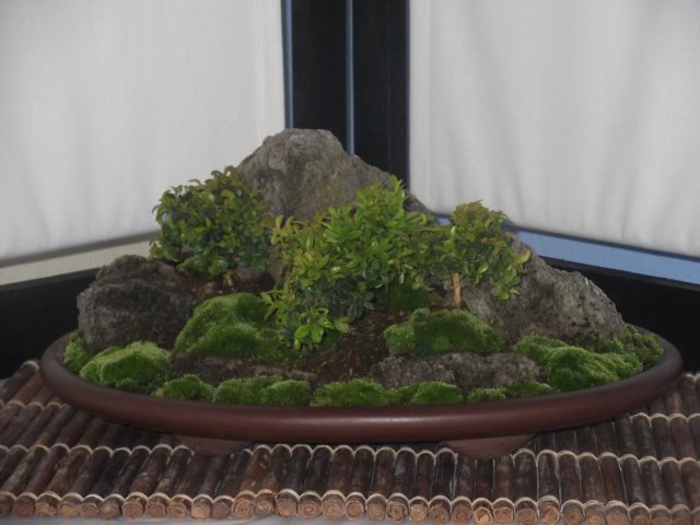 show2011016.jpg