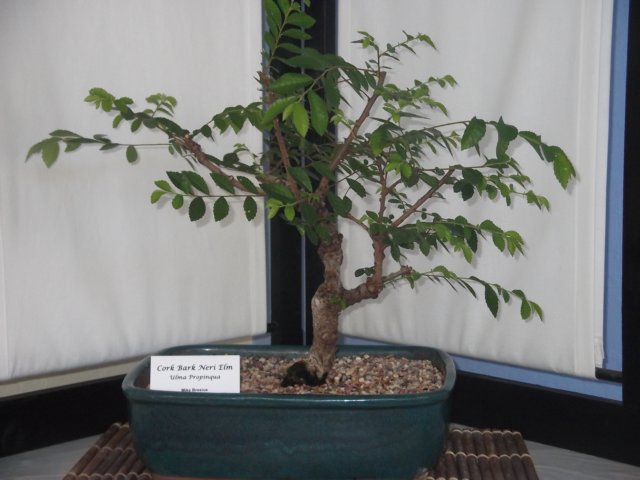 show2011018.jpg