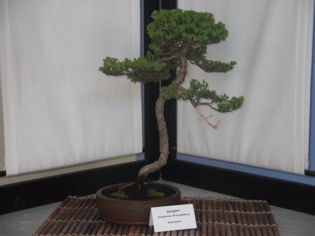 show2011019.jpg