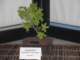 show2011020_small.jpg