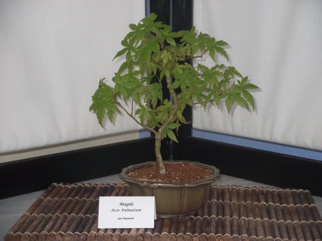 show2011022.jpg