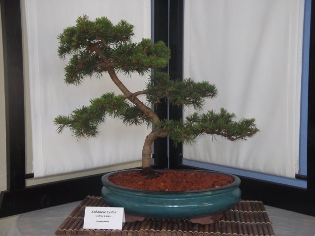 show2011024.jpg