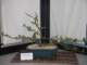 show2011026_small.jpg