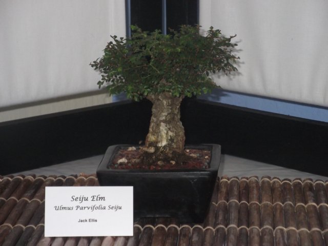 show2011027.jpg