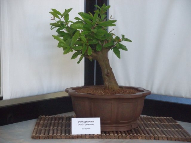 show2011027b.jpg