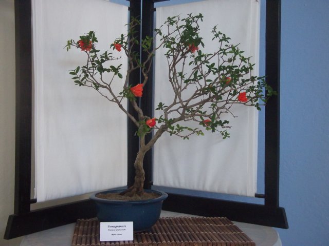 show2011027d.jpg