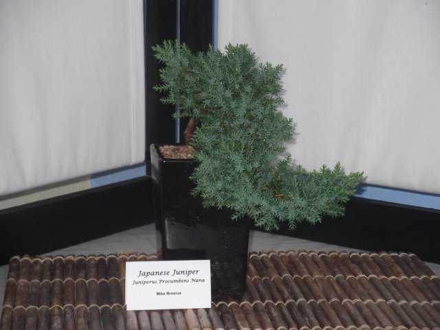 show2011027f.jpg