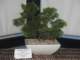 show2011027j_small.jpg