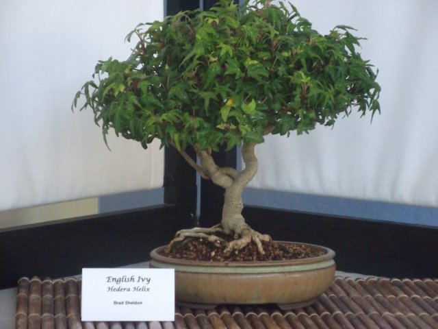 show2011027l.jpg