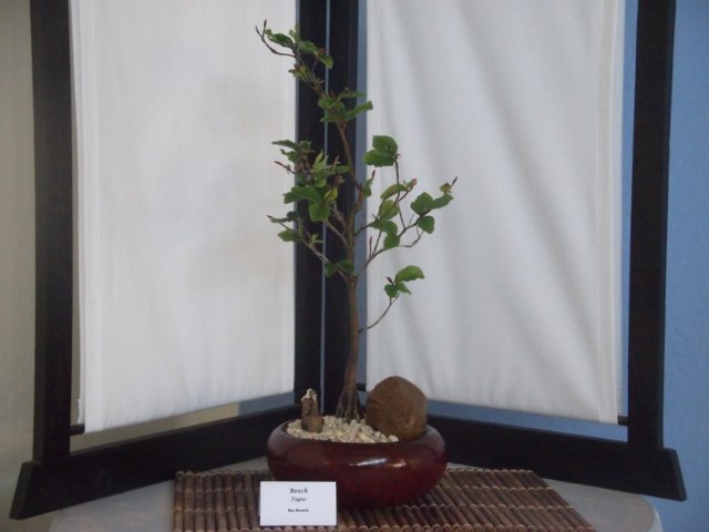show2011027n.jpg