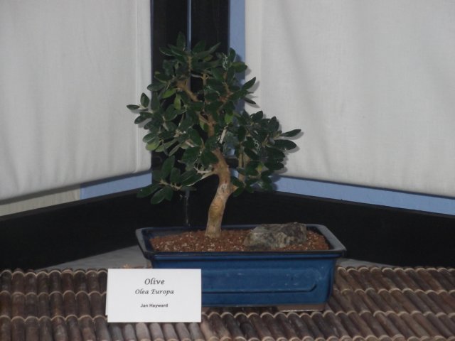 show2011027p.jpg