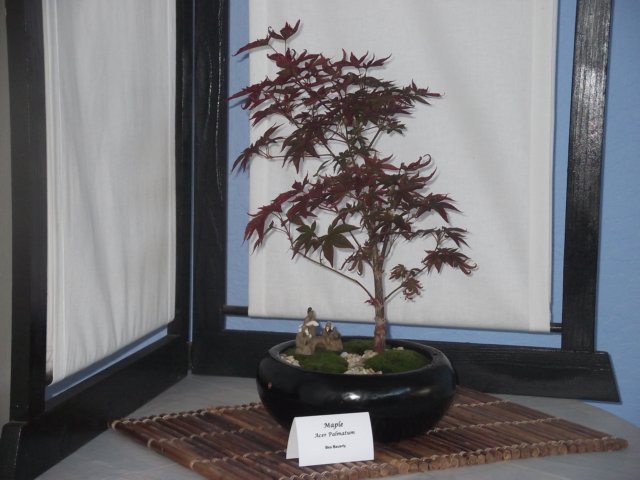 show2011027s.jpg