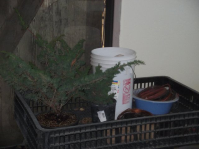 show2011084.jpg