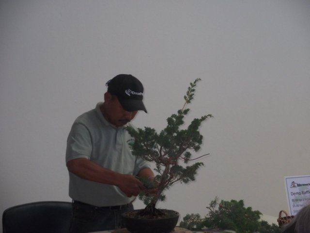 show2011086.jpg