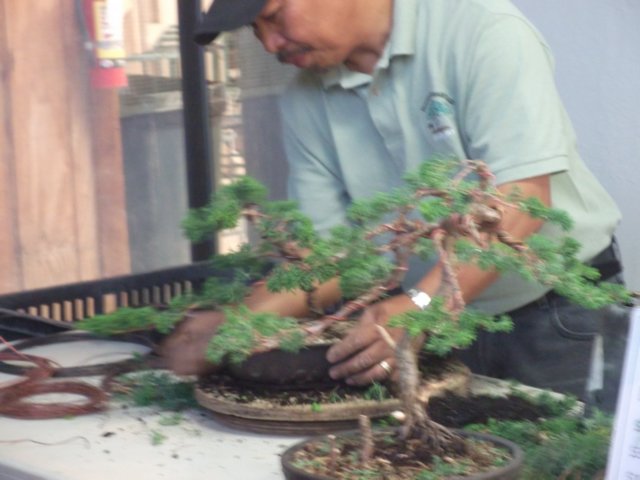show2011093.jpg