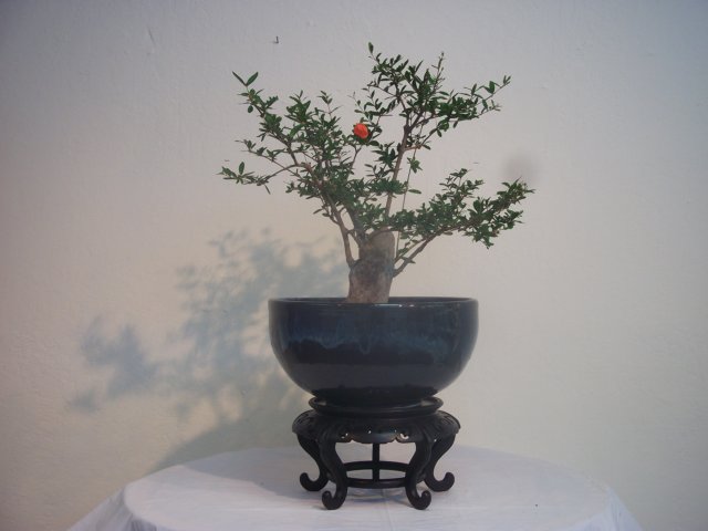 dscf1328.jpg