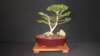 gallery12_small.jpg