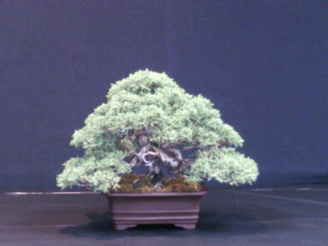 dscf0014.jpg
