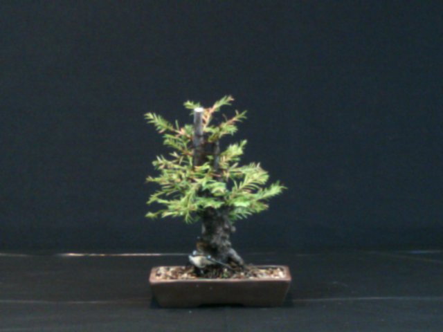 dscf0015.jpg