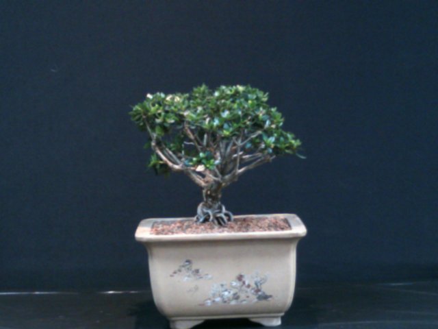 dscf0064.jpg