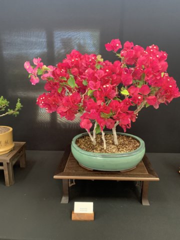 display1.jpg