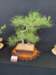 display10_small.jpg