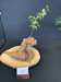 display11_small.jpg