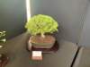 display12_small.jpg