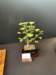 display13_small.jpg