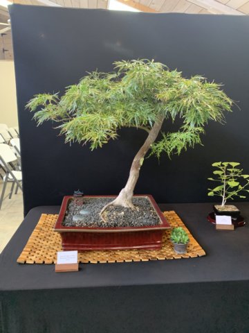 display14.jpg