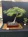 display14_small.jpg