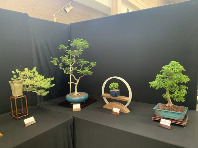 display15.jpg