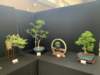 display15_small.jpg