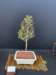 display16_small.jpg