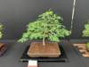 display17_small.jpg