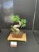 display18_small.jpg