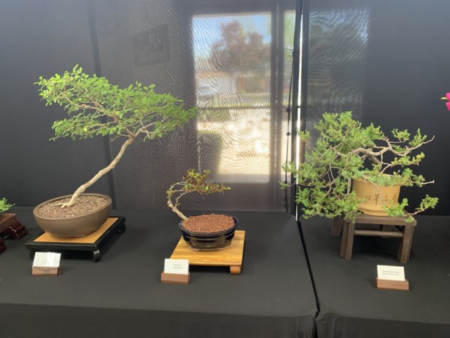 display2.jpg