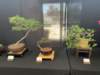 display2_small.jpg
