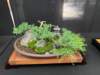display3_small.jpg