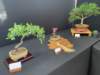 display5_small.jpg