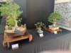 display6_small.jpg