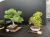 display8_small.jpg