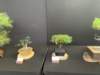 display9_small.jpg