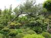 japanesegardenshayward3_small.jpg