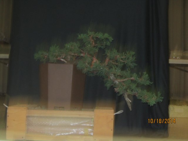 img_0544.jpg